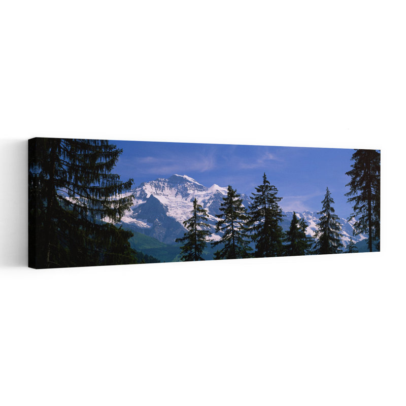 Montagnes couvertes de neige, Alpes Suisses, Wengen, Oberland bernois, Suisse, H 48 po x l 16 po