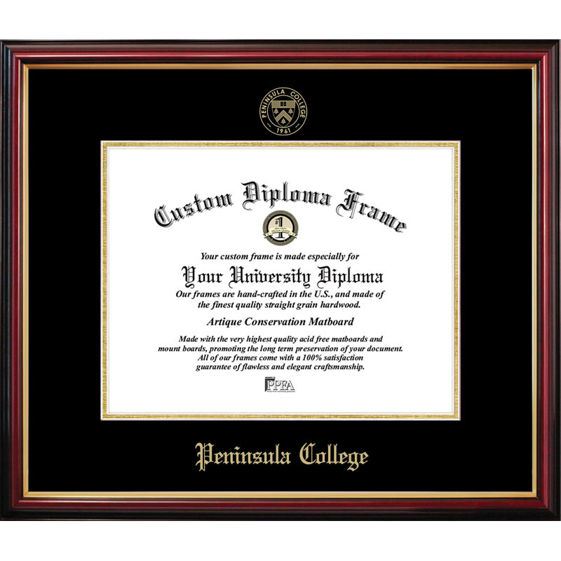 Cadre de diplôme Pen Penins College, L 11 po x H 8,5 po, NCAA Peninces College