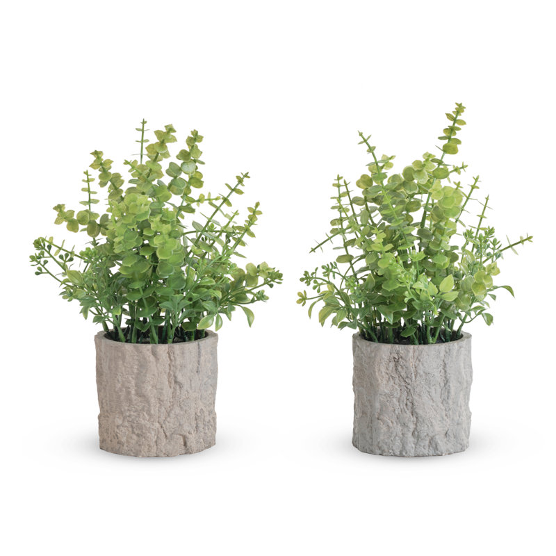 Eucalyptus In Pot(set Of 2)