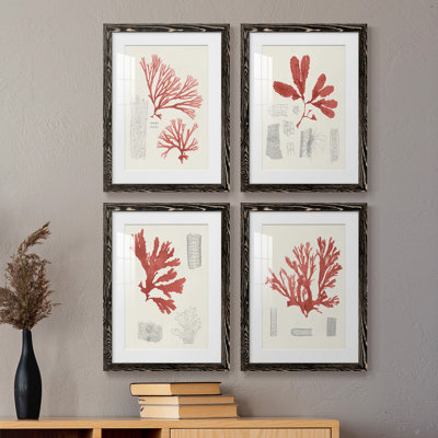 " Vintage Coral Study I " 4 - Pieces