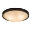 Dionne 3 - Light Semi Flush Mount