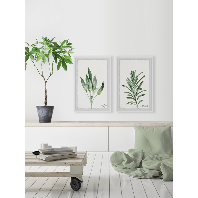 «Sage and Rosemary» par Marmont Hill - Ensemble de 2 reproductions de cadres photo simples, H 18 po x l 12 po