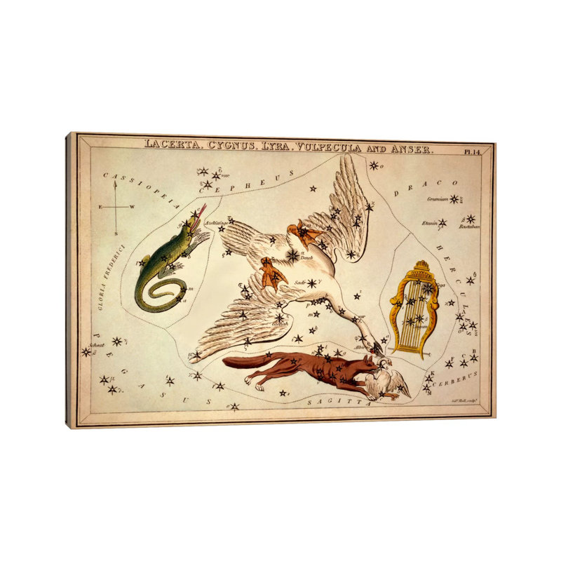 Lacerta, Cygnus, Lyra, Vulpecula And Anser by Sidney Hall - Wrapped Canvas Print, 20.32 cm H x 30.48 cm W
