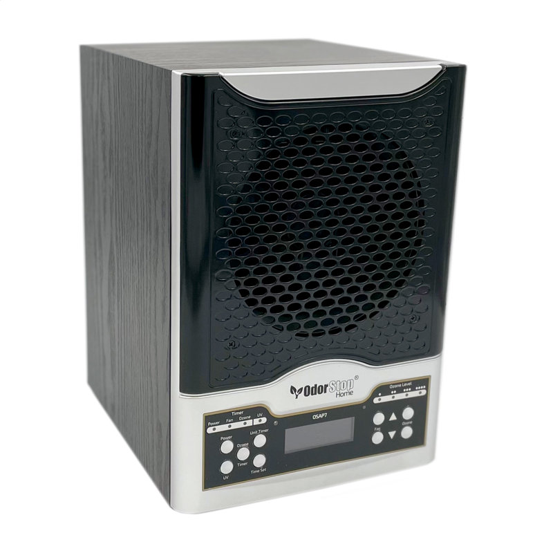 Black HEPA Air Purifier with Odor Absorbing Ionic Filter