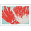 Coral 2 Print by Jennifer Mckinnon Richman