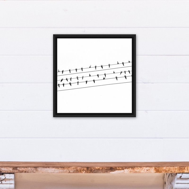 « oiseaux on a wire », reproduction de photo sur toile encadrée