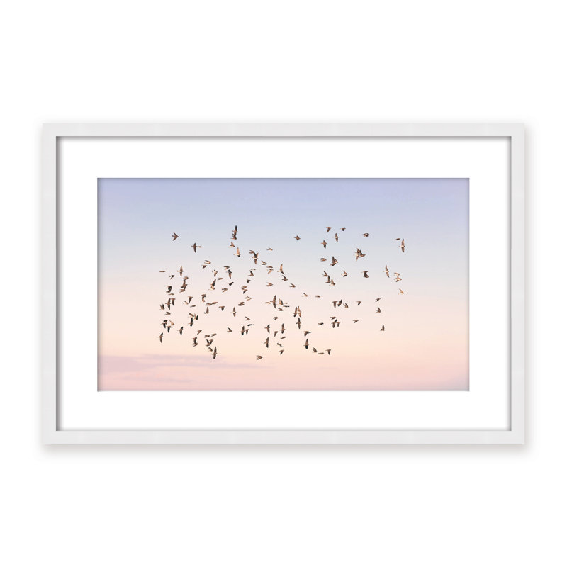 Nature Inspired Sunset Flight by  - Picture Frame Photograph on Paper, 16" H x 24" W x 1.125" D, Brown, Framed Print