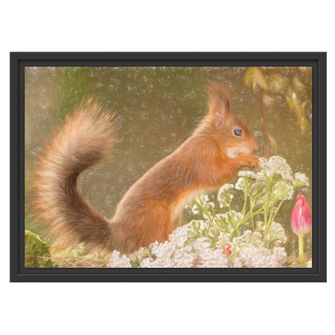 Gerahmtes Poster Gnawing Squirrel und Elch