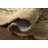 Rifle Paper Company x Loloi Thistle Neutral / Multi  Area Rug-126258003