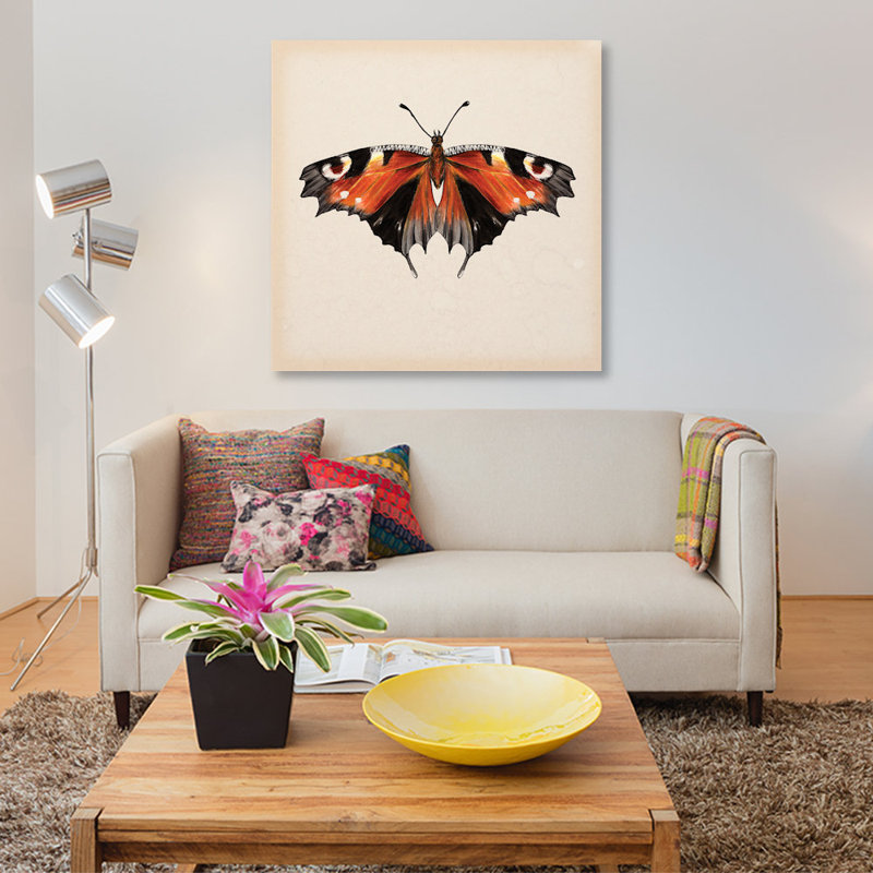 " Butterfly Study V " Graphic Art, 37" H x 37" W x 1.5" D, Wrapped Canvas, No Mat