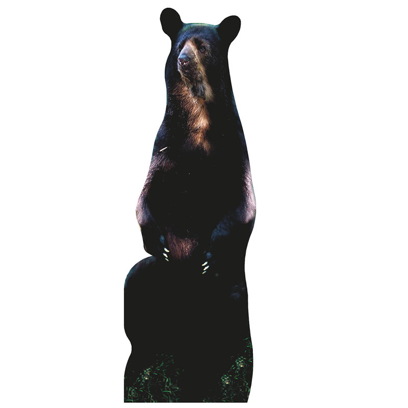 Sitting Bear Cardboard Standup