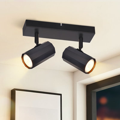 Maudine 2-Light 26cm Ceiling Spotlight