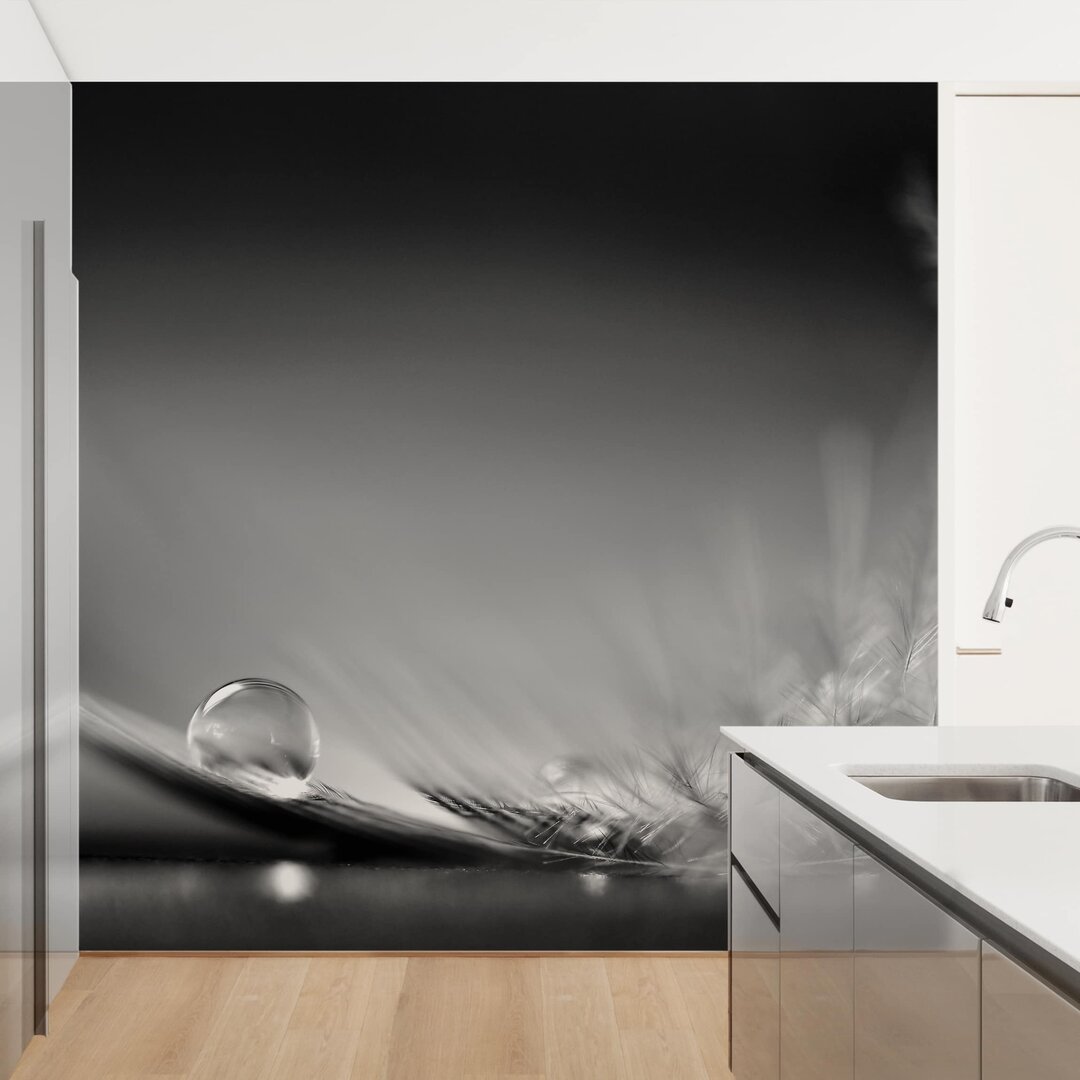 Strukturierte Fototapete Story of A Waterdrop in Black and White 3,36 m x 336 cm