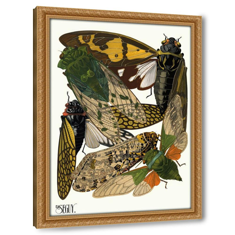 Insectes Pl.12 (1929)
