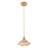1-Amber iron dimmable glass pendant light
