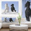 «Farmhouse White and Black Horse», reproduction de photo sur toile tendue-29491763