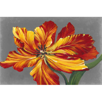 Tulip Portrait I by Tim OToole - Art Prints on Canvas