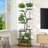 Support pour plante 67,32 po avec lumières de croissance Wahkon (ensemble de 2)