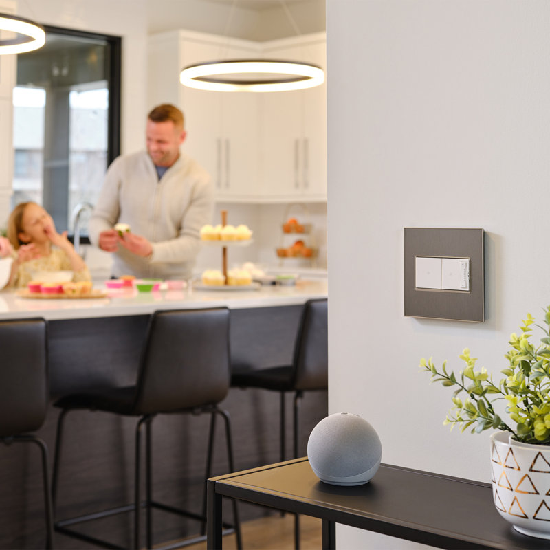 Interrupteur intelligent Adorne avec Netatmo, Graphite