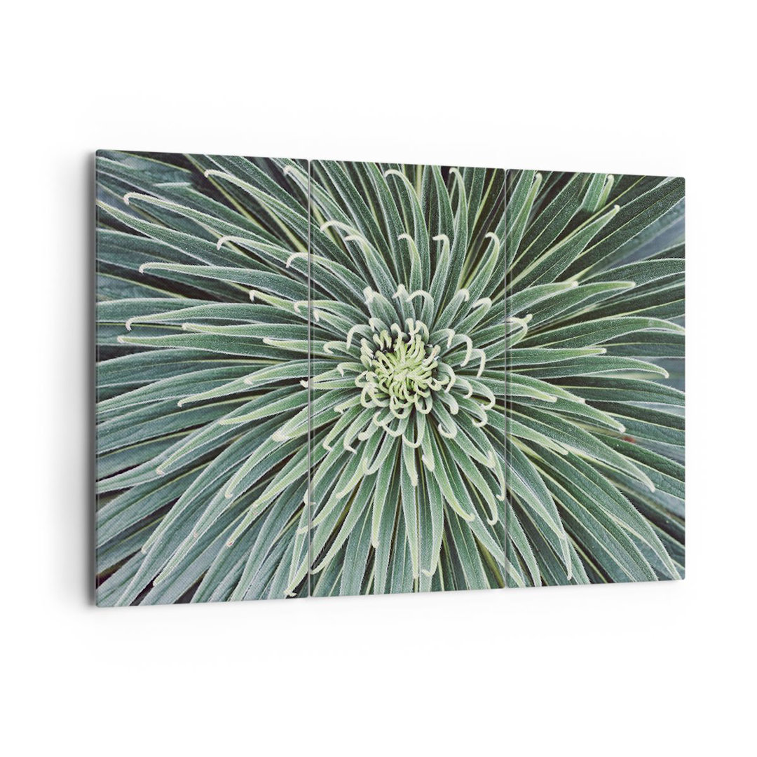 3-tlg. Leinwandbilder-Set Agave Green Plant