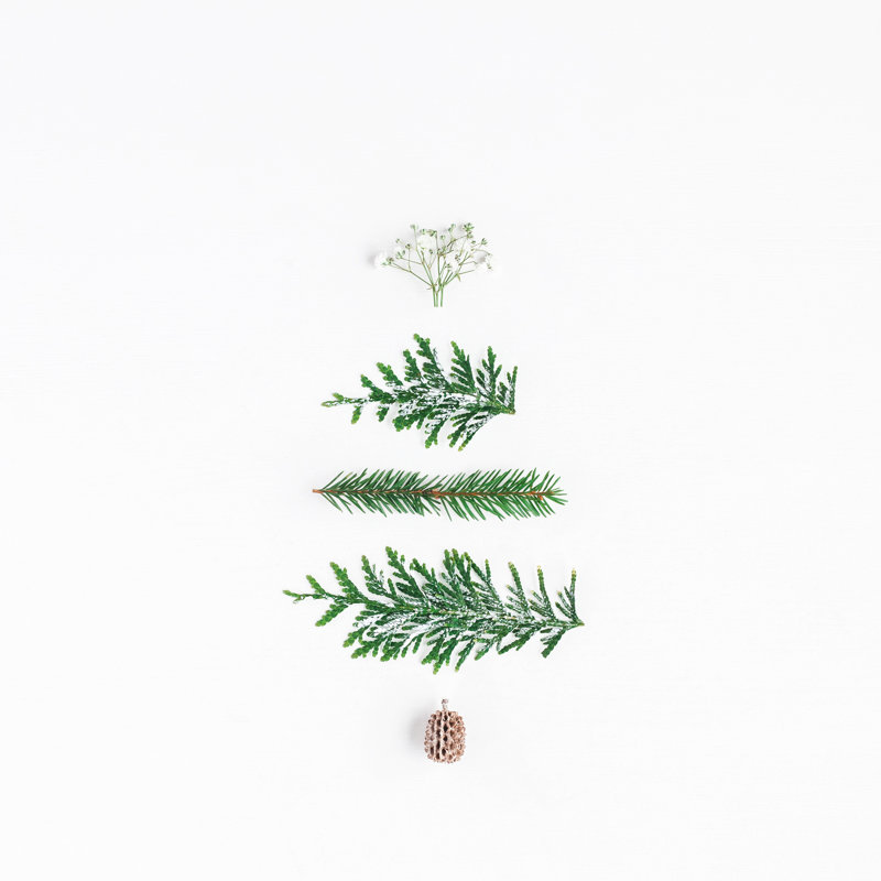 Christmas Tree - Wrapped Canvas Print, 76cm H x 76cm W x 3.8cm D