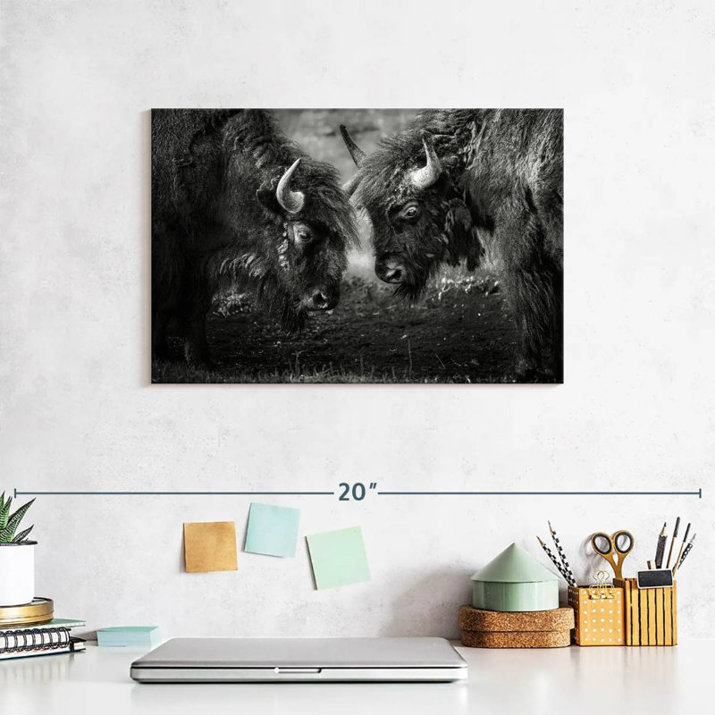Brampt Bisons Head To Head, 8" H x 12" W