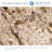 FlexStone 10" Shave Shelf in Golden Beaches-53312487