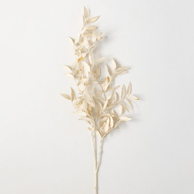 Ruscus Arrangement