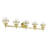 Ahsha 5 - Light Dimmable Vanity Light