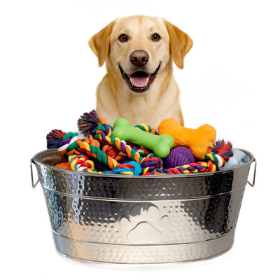 Chew-Proof Metal Dog Toy Bin by Tucker Murphy Pet