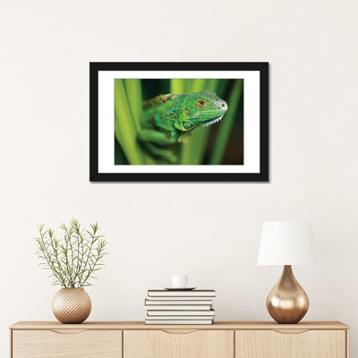« green iguane amids green leaves, roatan island, honduras », reproduction de photo sur toile
