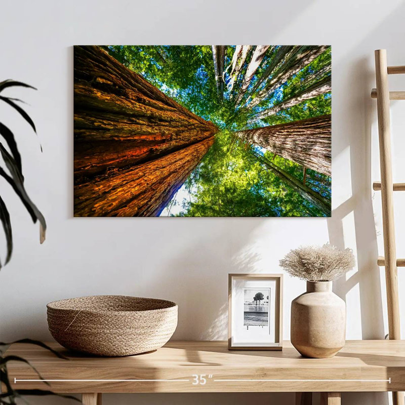 Auvent Harnek Redwood, H 16 po x l 24 po