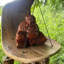 Brene Bamboo No Subject Wind Chime
