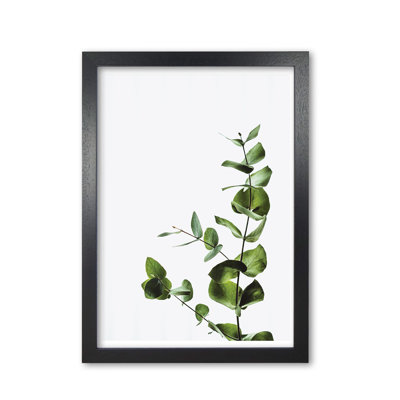 Elegant Plant - Print