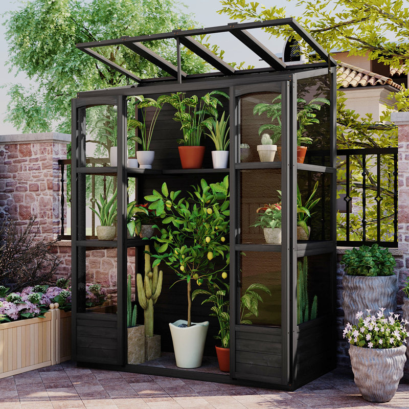 Wooden Greenhouse Cold Frame with 4 Independent Skylights and 2 Folding Middle Shelves, Walk-in Outdoor Greenhouse, Black
