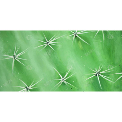 Cactus closeup - 15.75"x31.50" Desk mat