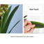 23,62 Plante
