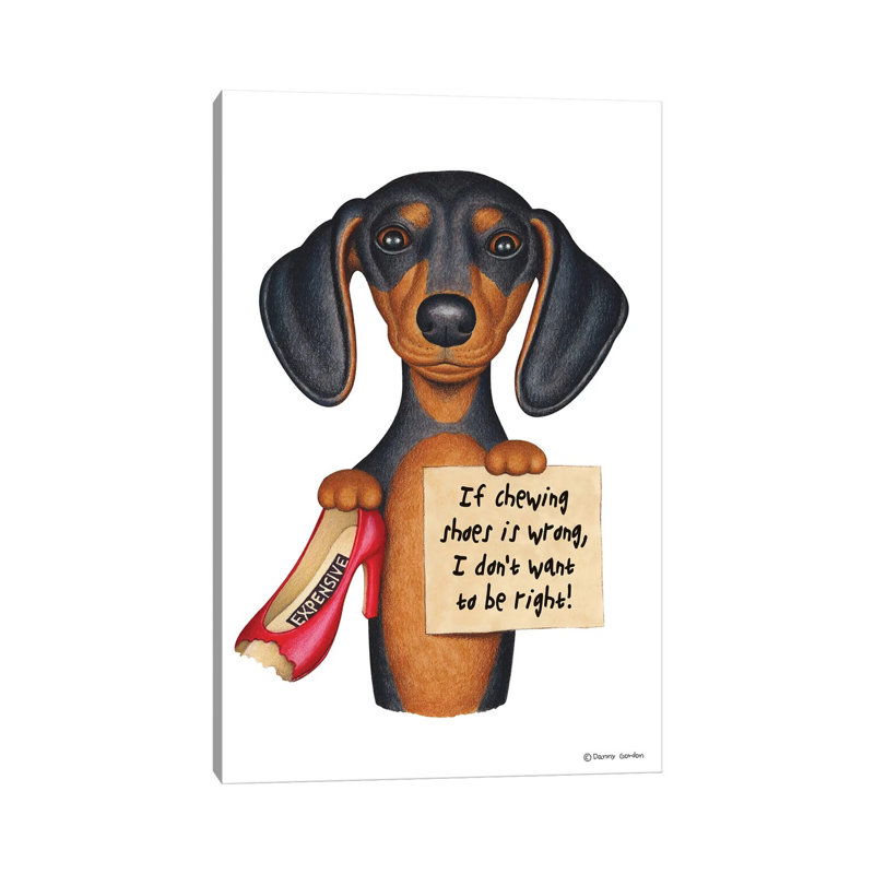 Cartoon Dachshund Canvas Shoes Cartoon Dachshund Canvas Shoes