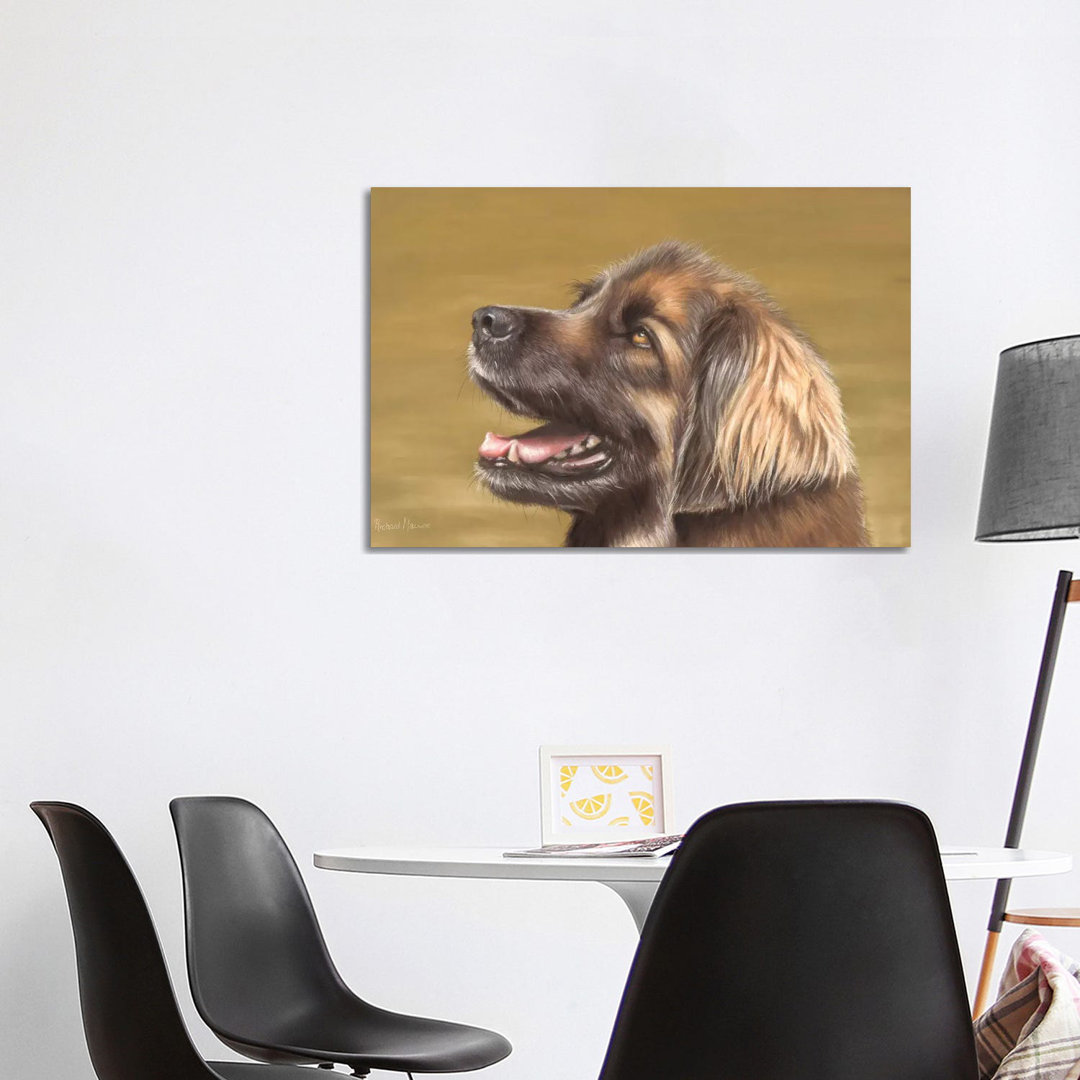 Leonberger von Richard Macwee - Galerie-verpackte Leinwand Giclée