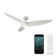 Morpheus III 60" 3 - Blade Outdoor/Indoor Smart Standard Ceiling Fan with Wall Control and LED Light Kit Included, Works With Alexa and iOS or Android App