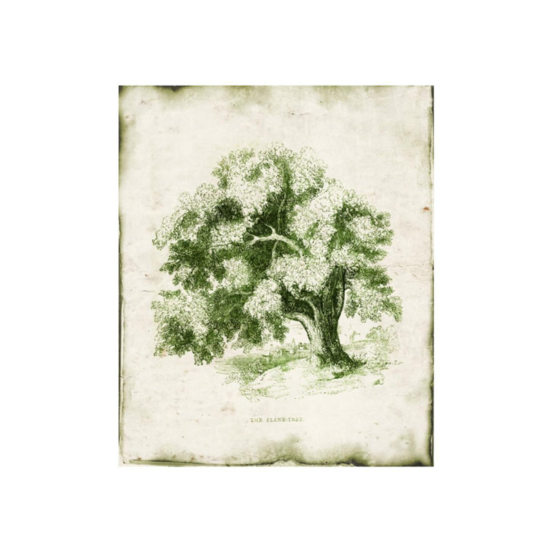 «Evergreen II» par Zoey Riley - Peinture, H 29 po x l 24 po x P 1,5 po, Extérieur