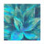 «Agave Forms III» par Cora Niele, peinture sur toile tendue-1554989092
