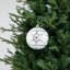Ensemble de 18 décorations de Noël en argent incassable