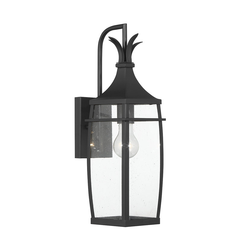 Montpelier 1-Light Emie in Matte Black