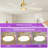 Karlena 52'' Modern Large Ceiling Fan With Led Lights And Remote Control, App, Timer, Memory-1614833760
