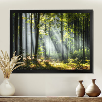 «Sunny Morning Magic Forest III - Forest», reproduction d'art sur toile