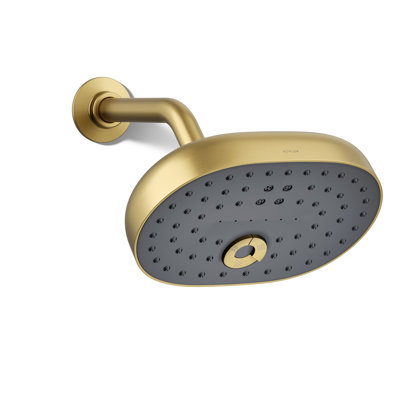 Statement2.5 GPM Oval Multifunction Showerhead with Katalyst Air-Induction Technology