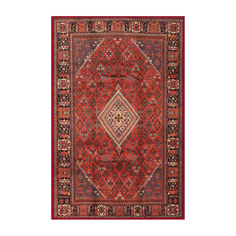 Cecellia Oriental Indoor Rug, Runner 2' x 5'