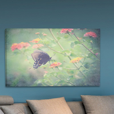 Captivating by Robert Dickinson - Wrapped Canvas Print