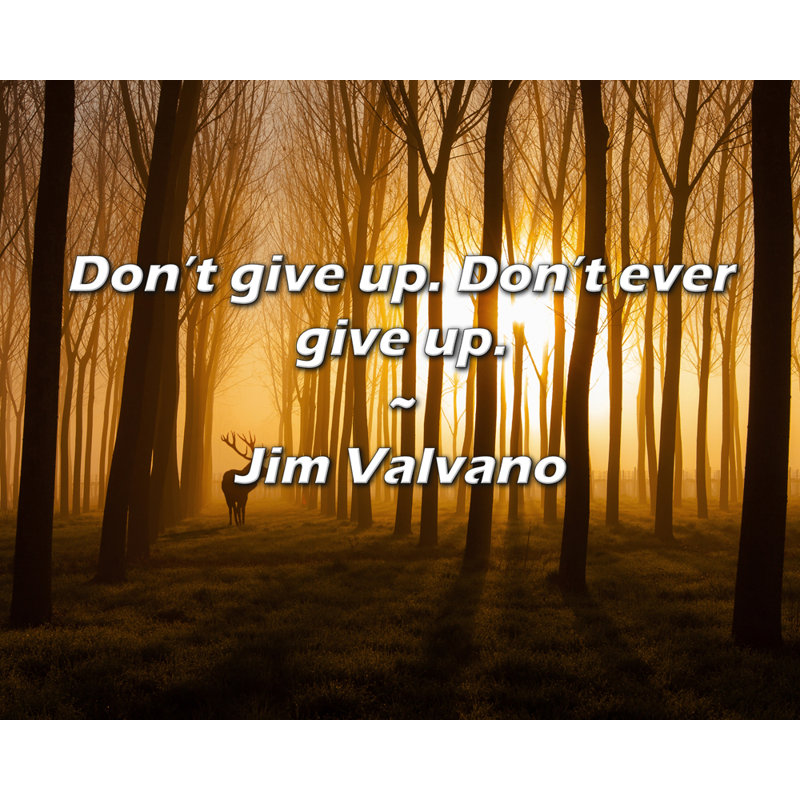 Citation de Jim Valvano: N'abandonnez pas. N'abandonnez jamais., H 20 po x l 24 po